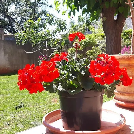 Apartment Ivan Porec