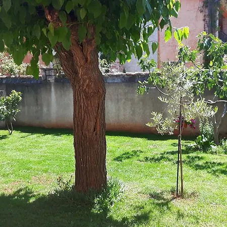Ivan Apartment Porec