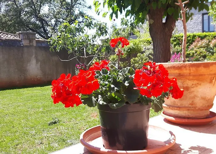 아파트 Ivan 포레치